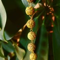 Tan Lava Knotted Vermeil Necklace