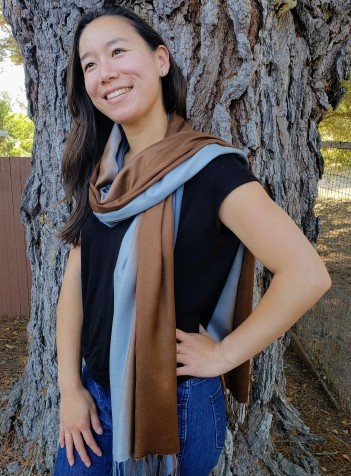 Ombre Scarf, blue and brown